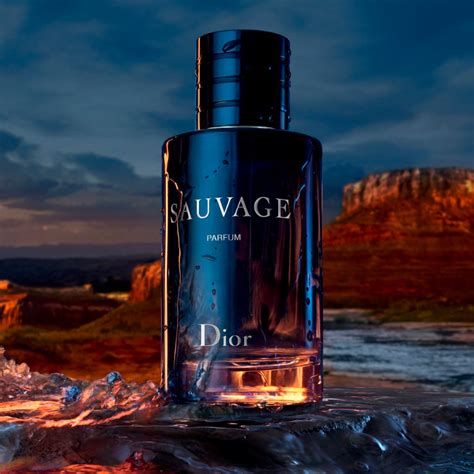 sauvage dior mens perfume|how much does sauvage cost.